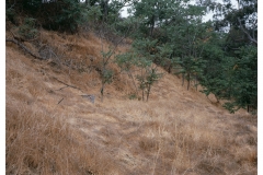 Ruins, near Chavez Ravine, C-Print, 2018