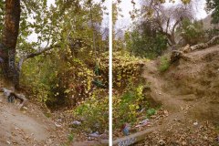 Turnbull Canyon
